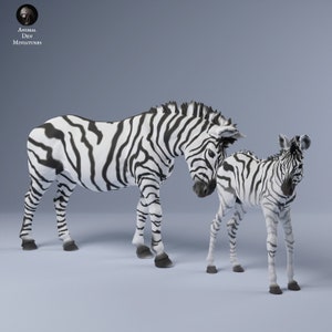 1/6 scale zebra mare and calf model horse artsit resin figurines - paint your own