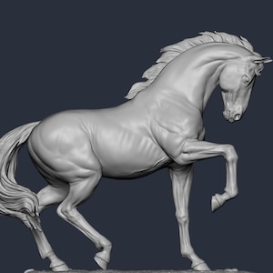 Op de afbeelding: Een gedetailleerd 3D-model van een paard in een opgerichte houding. Het paard is gemodelleerd in een realistische stijl, met zichtbare spierdefinitie en een vloeiende manen en staart.