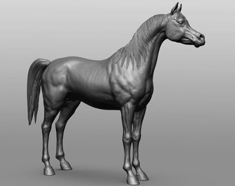 Standing Arabian - White resin ready to prep / paint LTD EDITION - Pre - Order