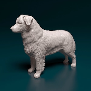Australian Shepherd - white ready to paint sculpture / figurine