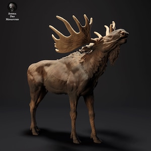 North american Moose artist resin - white resin sculpture / figurine