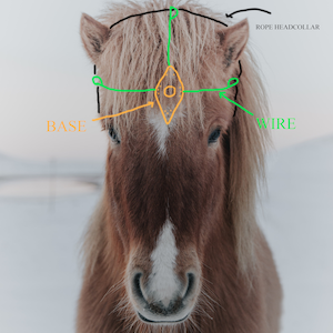 Puede incluir: Un caballo marr&oacute;n con una marca blanca en la cara lleva un cabezada de cuerda con un alambre verde y una base negra. La cabezada est&aacute; decorada con una pieza amarilla en forma de diamante.