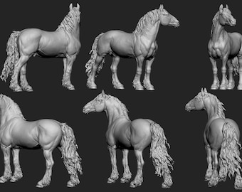 May include: Six different views of a detailed 3D model of a horse. The model is rendered in a light grey colour and shows the horse's musculature and anatomy.