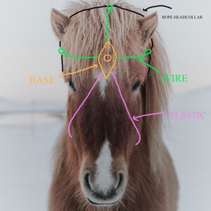 Puede incluir: Un caballo marr&oacute;n que lleva un cabezal de cuerda con un alambre verde y un el&aacute;stico rosa. El cabezal tiene una base y un alambre.