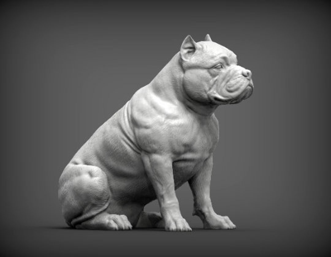 1/6 American Bully Dog Model - Detailed and Realistic Collectible