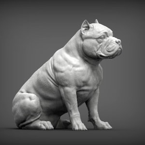 Könnte beinhalten: Eine weiße, 3D-gedruckte Skulptur eines muskulösen American Bully Hundes, der sitzt und den Kopf zur Seite dreht. Der Hund ist in einem realistischen Stil mit detaillierter Muskeldefinition dargestellt.