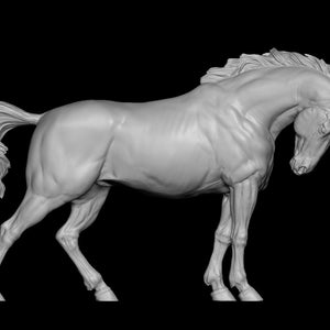 1/12 classic scale proud stallion resin model horse LTD edition like artist resin ltd edition of 10