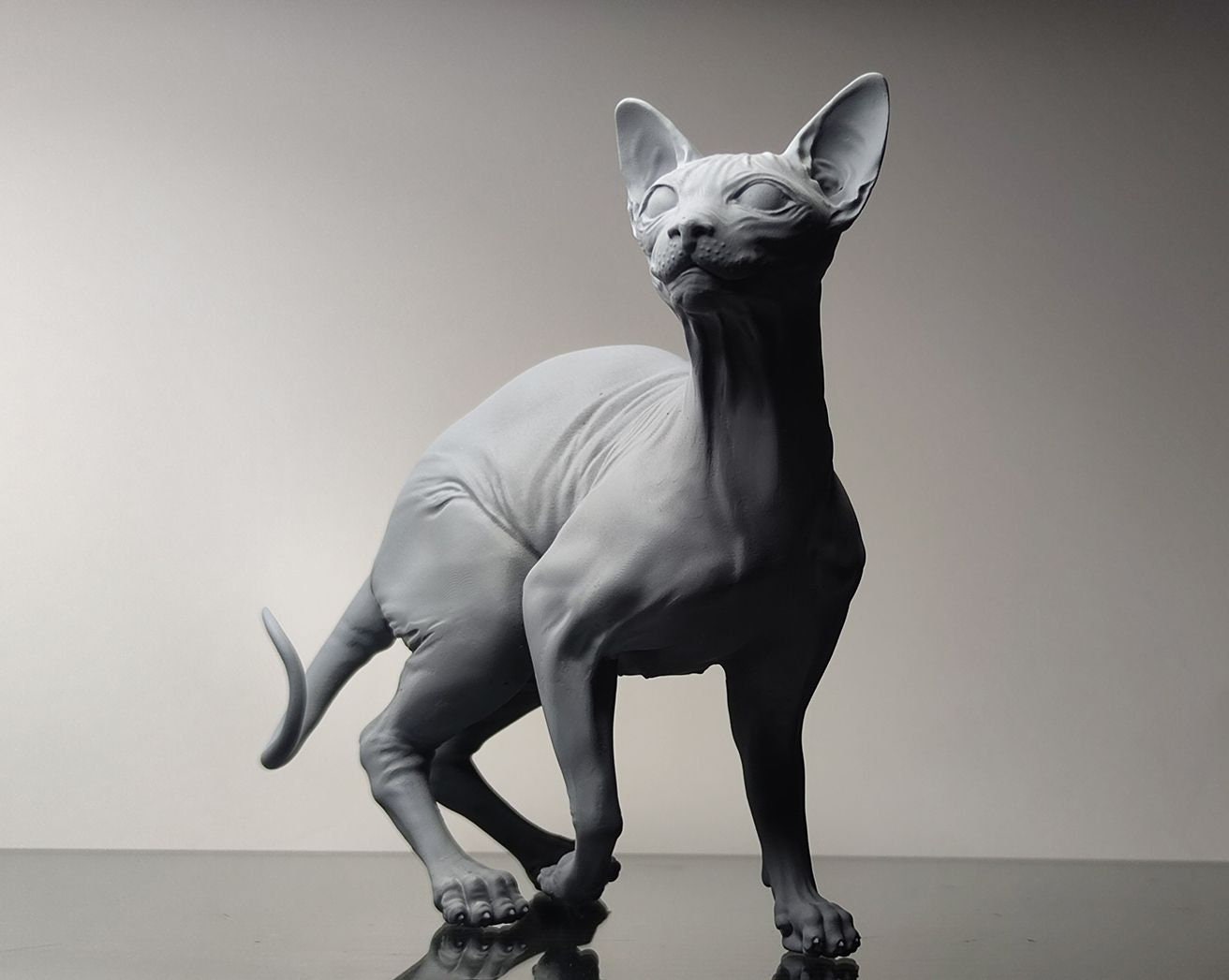 Sphynx Cat - white ready to paint