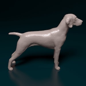 Puede incluir: Una figurita de cerámica blanca de un perro de pie sobre una superficie azul. El perro está mirando hacia la derecha y tiene la cabeza girada hacia la izquierda. La figurita está detallada con una superficie texturizada.