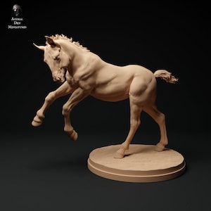 Suffolk Punch foals - white resin - ready to prep / paint - many options