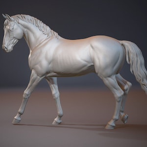 Model horse Walking Stallion Warm blood resin ready to paint trad size animal artist resin figurine