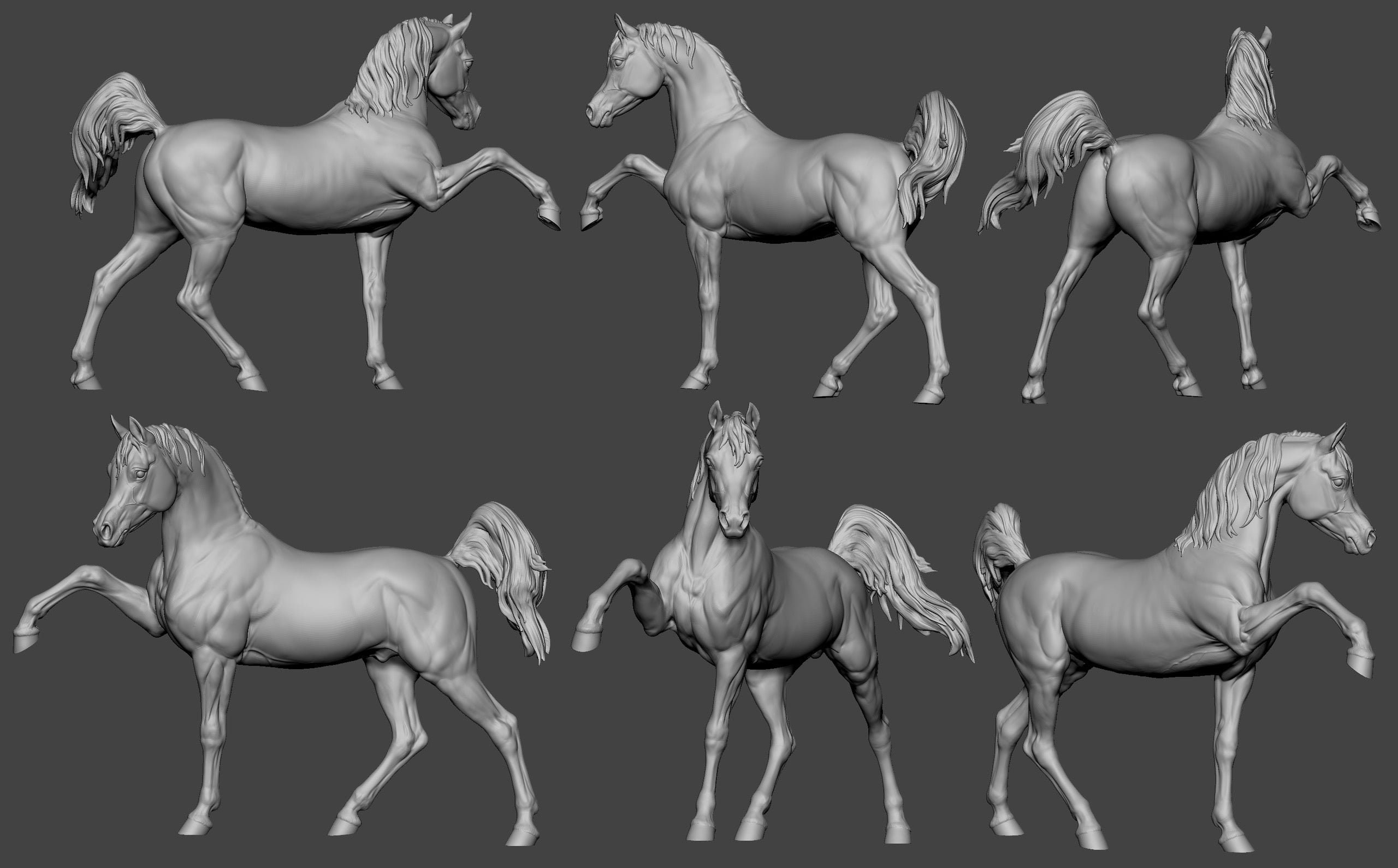 Sassy Arabian stallion Firefly - White resin ready to prep / paint LTD EDITION