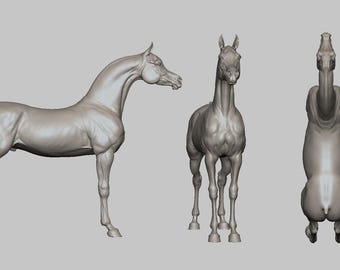 スワロフスキー アラビアン スタリオン #7612-002 - Etsy 日本