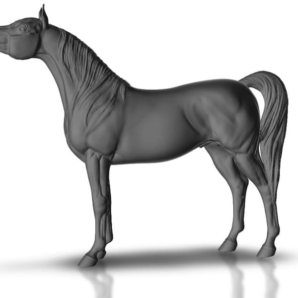 Arabian stallion model horse artist resin - White resin - All scales - unpainted