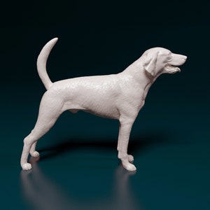 American foxhound - white ready to paint
