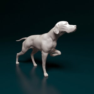 May include: A white ceramic sculpture of a dog in a hunting pose. The dog is standing on its hind legs with its front leg raised, as if it is pointing.