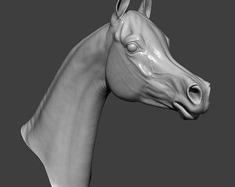 May include: A detailed 3D model of a horse's head, sculpted in a realistic style. The horse's head is turned to the side, with its eye visible. The model is made of a smooth, white material.