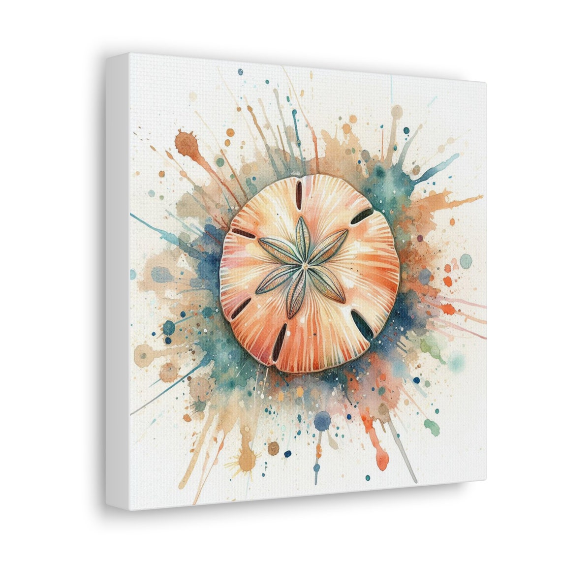 Delicate Beauty of a Sand Dollar Canvas Print Fourth in a - Etsy Canada