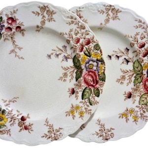 Antique English China Plate set of Two, Crown Ducal Ware, Rydal, Pattern, Fine China Bread Butter Side Plate