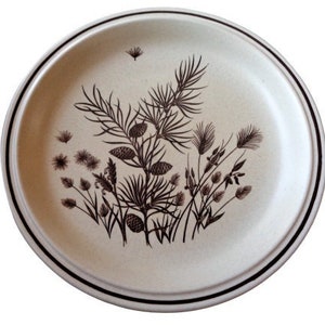 Puede incluir: Un plato de cerámica beige con un diseño floral marrón que presenta piñas y hojas. El plato tiene un borde marrón oscuro.