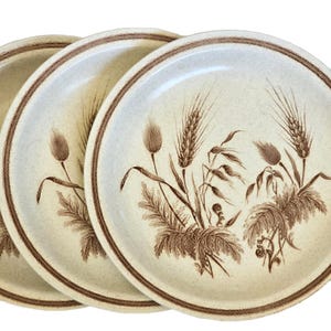 Può includere: Un set di tre piatti in ceramica color crema con un disegno di spighe di grano marrone. Ogni piatto ha un bordo marrone e una superficie macchiettata, creando un'estetica rustica. Il design del grano è dettagliato.