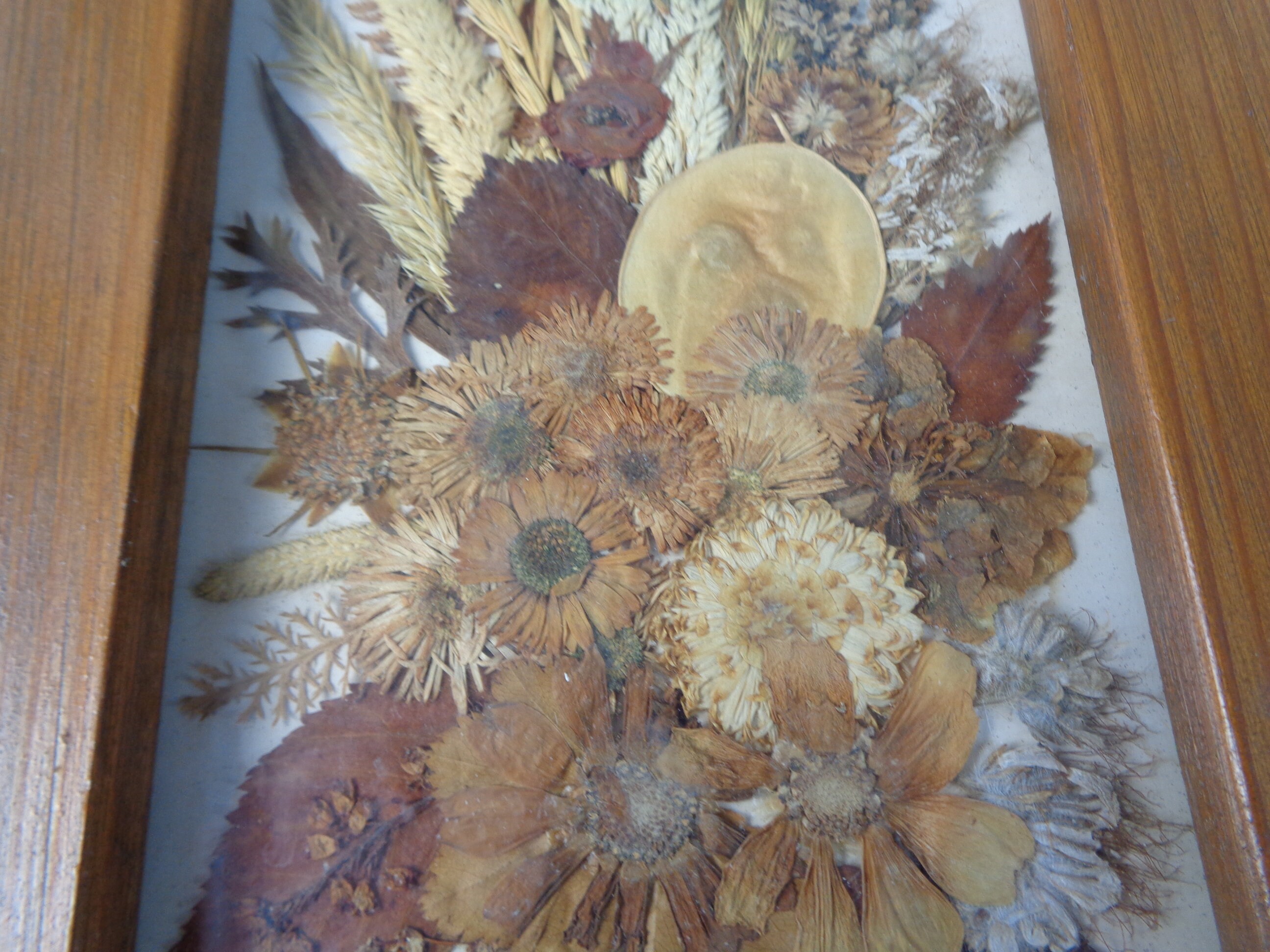 Dried Flowers Wood Framed Picture Botanical Wall Art Etsy