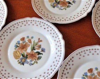 フランス製アルコパル食器6点セット、アルコパルフランス、花柄ミルク