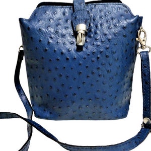 Ostrich Crossbody Bag - New Arrivals - Onsale Handbag