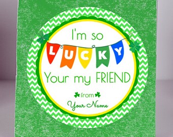 Ships Fast / Custom St Patricks Day Sticker / I'm So Lucky You're My Friend / Sheet of 12 Round 2.5" / Personalized St Patricks Labels