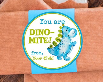 Custom Valentine Sticker / You're DINO-MITE Blue / Sheet of 12 / Personalized Valentine Label / Valentine Heart Stickers