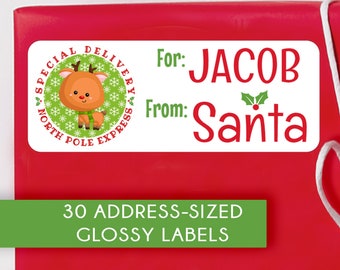 GLOSSY Christmas Stickers / Special Delivery From Santa / Custom Christmas Express / Christmas from Santa Labels
