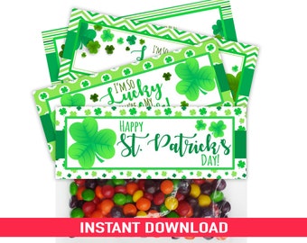 INSTANT DOWNLOAD / Four Designs St Patricks Day Bag Toppers / For 6.5 inch zipper bags