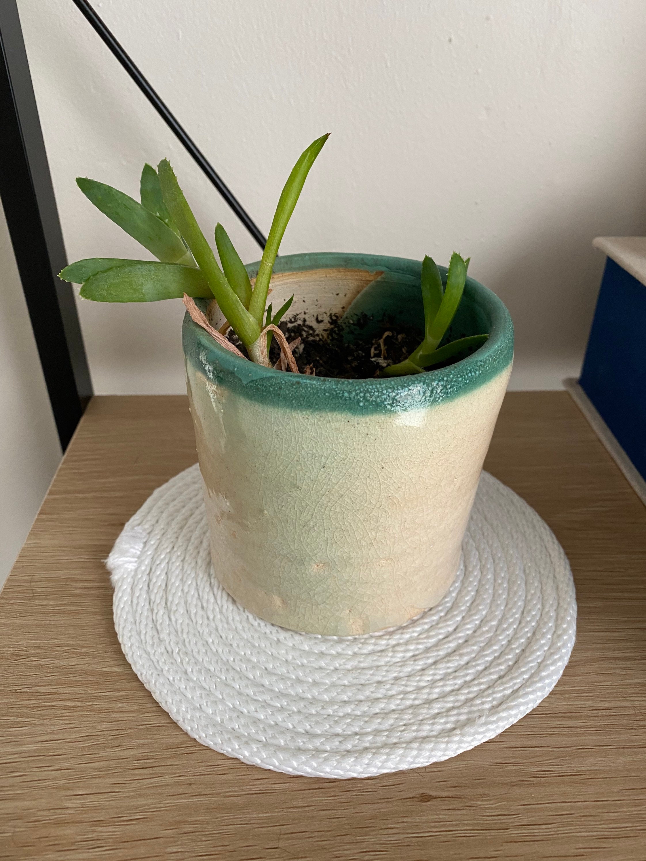 Potted Plant Coaster Etsy