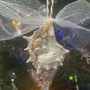 May include: A seashell Christmas ornament with a white and iridescent finish. The ornament is adorned with pearls and a sparkling gem. It is suspended by a gold and white string and has white netting wings.
