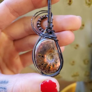 Ammonite Fossil In Oxidized Copper Wire Wrapped Pendant