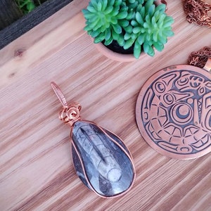 Swirly Crown Copper Wore Wrapped Fossil Pendant