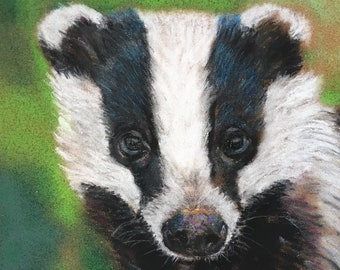 Top quality giclee print of 'Young Badger' a painting by artist Janet Bird