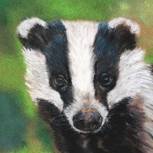 Top quality giclee print of 'Young Badger' a painting by artist Janet Bird image 1