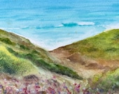 ORIGINAL Cornish cliff top in bloom painting