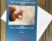 Large red squirrel Christmas card by British artist