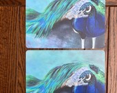 Peacock Painting Placemats: Set of 2, Janet Bird Art