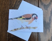 Goldfinch greeting card by UK artist Janet Bird