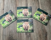 Set of four stunning Highland Cow placemats