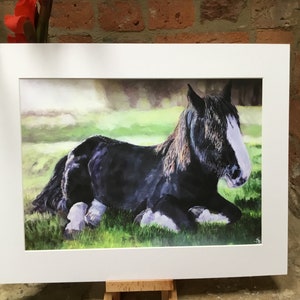 Top quality giclee print of 'Caesar' a Shire horse painting by artist Janet Bird image 2