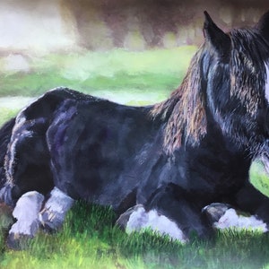 Top quality giclee print of 'Caesar' a Shire horse painting by artist Janet Bird image 1