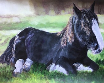 Top quality giclee print of 'Caesar' a  Shire horse painting by artist Janet Bird