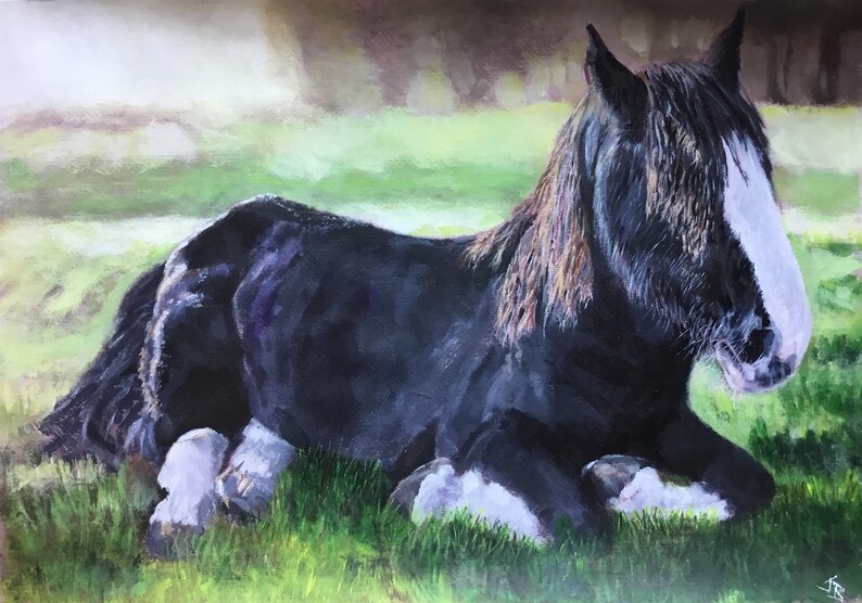 Top quality giclee print of 'Caesar' a Shire horse painting by artist Janet Bird image 1