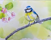 ORIGINAL blue tit watercolour painting