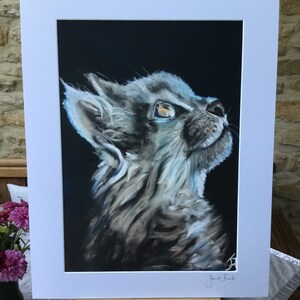 Top quality giclee print of 'Upward Glance' a cat painting by artist Janet Bird image 2