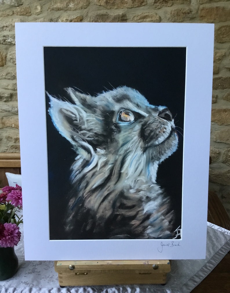 Top quality giclee print of 'Upward Glance' a cat painting by artist Janet Bird image 2